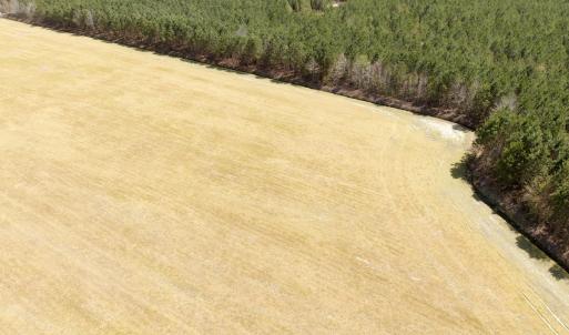 Photo #10 of Off of Medical Center Rd, Gates, NC 37.8 acres