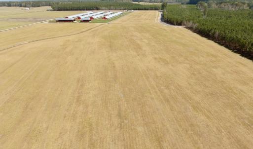 Photo #11 of Off of Medical Center Rd, Gates, NC 37.8 acres