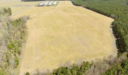 Photo #12 of Off of Medical Center Rd, Gates, NC 37.8 acres