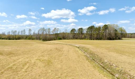 Photo #18 of Off of Medical Center Rd, Gates, NC 37.8 acres