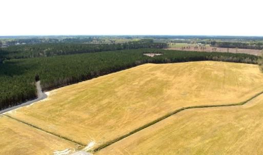 Photo #2 of Off of Medical Center Rd, Gates, NC 37.8 acres