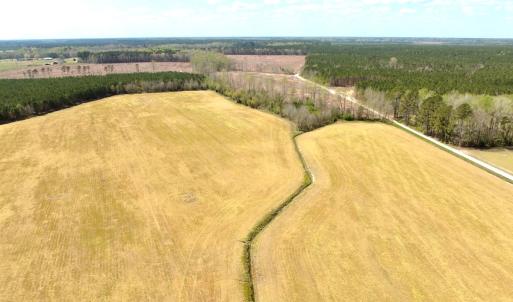Photo #4 of Off of Medical Center Rd, Gates, NC 37.8 acres