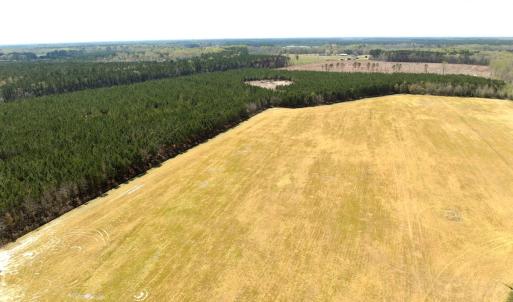 Photo #5 of Off of Medical Center Rd, Gates, NC 37.8 acres