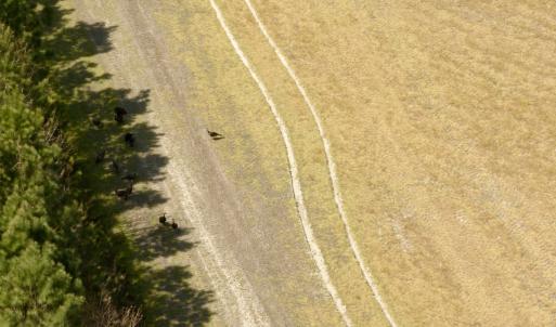 Photo #7 of Off of Medical Center Rd, Gates, NC 37.8 acres