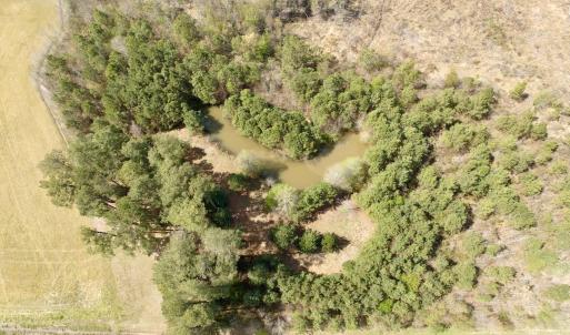 Photo #14 of Off Black Mingle Rd, Gates, NC 0.6 acres
