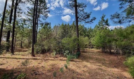 Photo #19 of Off Black Mingle Rd, Gates, NC 0.6 acres