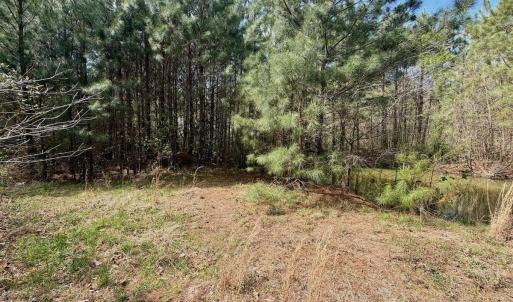 Photo #21 of Off Black Mingle Rd, Gates, NC 0.6 acres