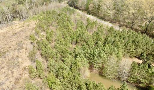 Photo #22 of Off Black Mingle Rd, Gates, NC 0.6 acres