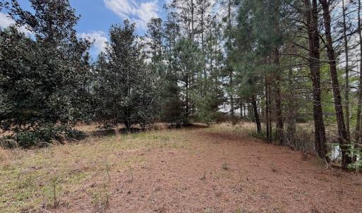 Photo #6 of Off Black Mingle Rd, Gates, NC 0.6 acres