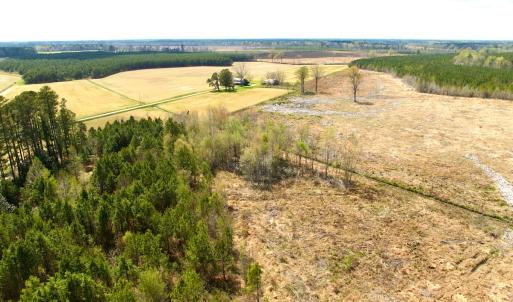 Photo #10 of Off Black Mingle Rd, Gates, NC 112.0 acres