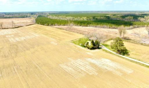 Photo #11 of Off Black Mingle Rd, Gates, NC 112.0 acres