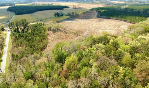 Photo #12 of Off Black Mingle Rd, Gates, NC 112.0 acres