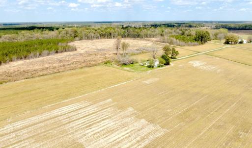 Photo #13 of Off Black Mingle Rd, Gates, NC 112.0 acres