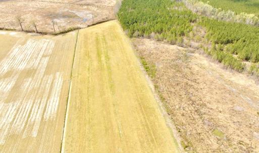 Photo #14 of Off Black Mingle Rd, Gates, NC 112.0 acres