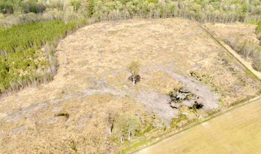 Photo #15 of Off Black Mingle Rd, Gates, NC 112.0 acres