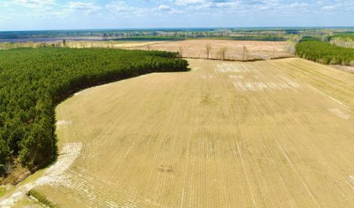 Photo #1 of Off Black Mingle Rd, Gates, NC 112.0 acres