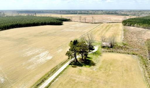 Photo #2 of Off Black Mingle Rd, Gates, NC 112.0 acres