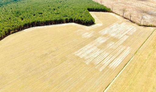 Photo #3 of Off Black Mingle Rd, Gates, NC 112.0 acres