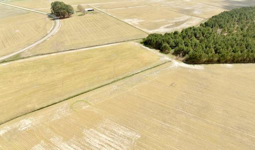 Photo #4 of Off Black Mingle Rd, Gates, NC 112.0 acres