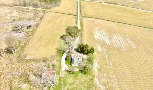 Photo #5 of Off Black Mingle Rd, Gates, NC 112.0 acres