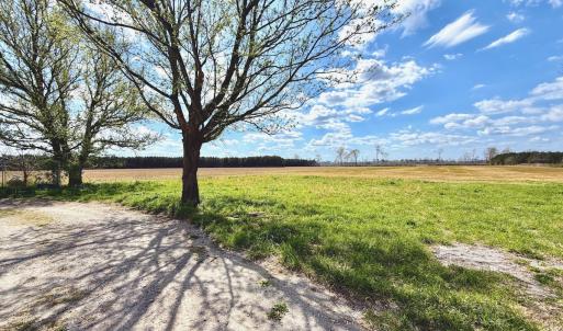 Photo #7 of Off Black Mingle Rd, Gates, NC 112.0 acres