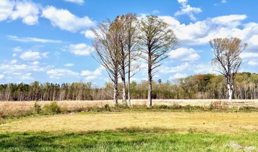Photo #8 of Off Black Mingle Rd, Gates, NC 112.0 acres