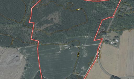 Photo #18 of Off Black Mingle Rd, Gates, NC 112.0 acres
