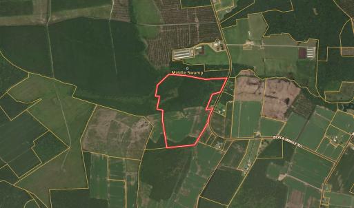 Photo #20 of Off Black Mingle Rd, Gates, NC 112.0 acres