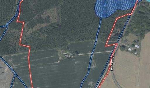 Photo #19 of Off Black Mingle Rd, Gates, NC 112.0 acres