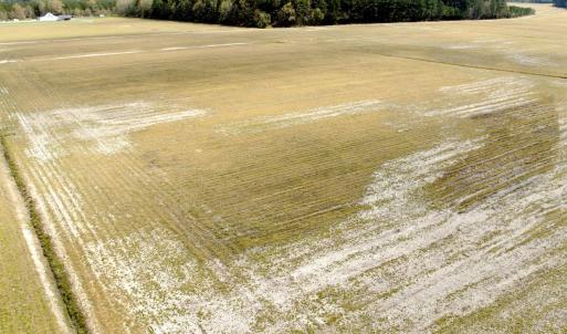 Photo #11 of Off Black Mingle Rd, Gates, NC 109.8 acres