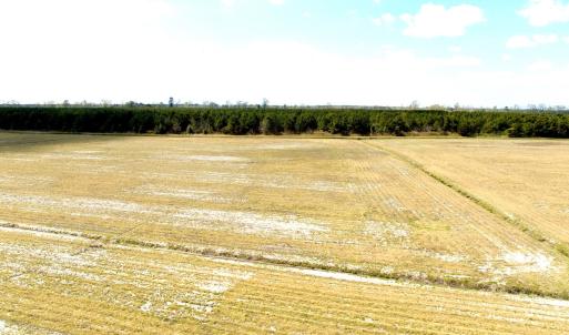 Photo #18 of Off Black Mingle Rd, Gates, NC 109.8 acres
