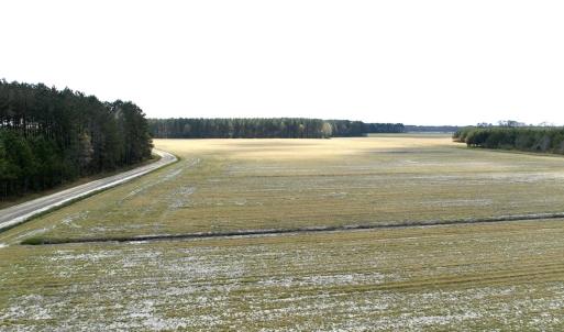 Photo #19 of Off Black Mingle Rd, Gates, NC 109.8 acres