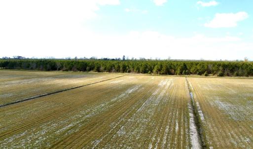 Photo #20 of Off Black Mingle Rd, Gates, NC 109.8 acres