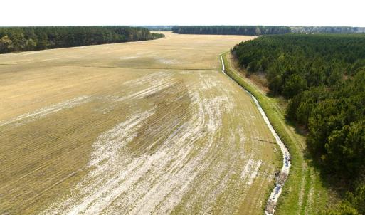 Photo #12 of Off Black Mingle Rd, Gates, NC 109.8 acres