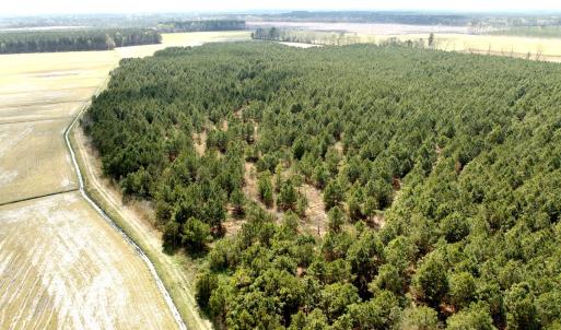 Photo #14 of Off Black Mingle Rd, Gates, NC 109.8 acres