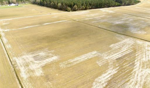 Photo #15 of Off Black Mingle Rd, Gates, NC 109.8 acres