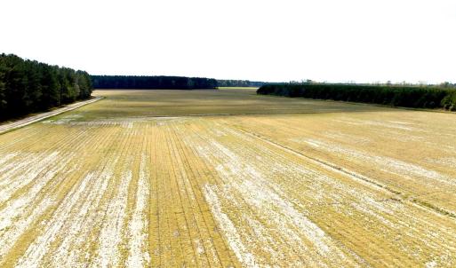 Photo #17 of Off Black Mingle Rd, Gates, NC 109.8 acres