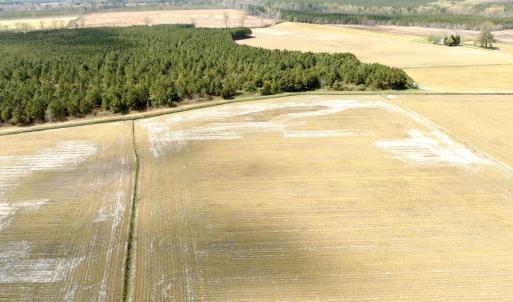 Photo #1 of Off Black Mingle Rd, Gates, NC 109.8 acres