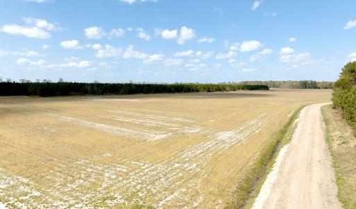 Photo #2 of Off Black Mingle Rd, Gates, NC 109.8 acres