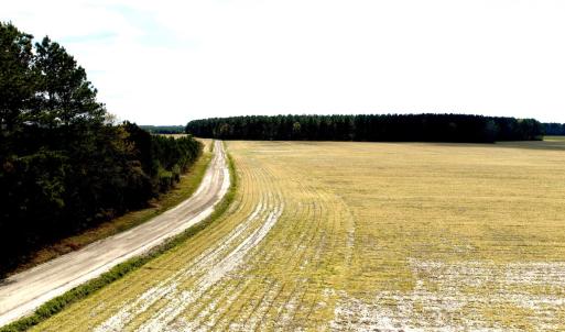 Photo #3 of Off Black Mingle Rd, Gates, NC 109.8 acres