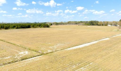 Photo #5 of Off Black Mingle Rd, Gates, NC 109.8 acres