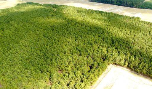 Photo #6 of Off Black Mingle Rd, Gates, NC 109.8 acres