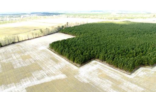 Photo #7 of Off Black Mingle Rd, Gates, NC 109.8 acres