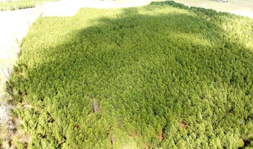 Photo #8 of Off Black Mingle Rd, Gates, NC 109.8 acres