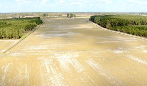 Photo #9 of Off Black Mingle Rd, Gates, NC 109.8 acres