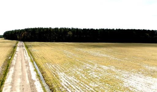 Photo #21 of Off Black Mingle Rd, Gates, NC 109.8 acres