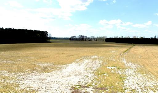 Photo #22 of Off Black Mingle Rd, Gates, NC 109.8 acres
