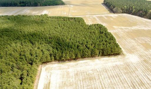 Photo #24 of Off Black Mingle Rd, Gates, NC 109.8 acres