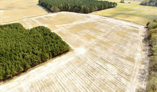 Photo #25 of Off Black Mingle Rd, Gates, NC 109.8 acres