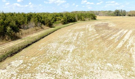 Photo #28 of Off Black Mingle Rd, Gates, NC 109.8 acres